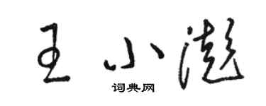 駱恆光王小澎草書個性簽名怎么寫