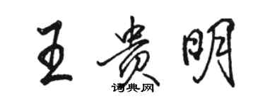 駱恆光王貴明行書個性簽名怎么寫