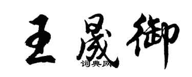 胡問遂王晟御行書個性簽名怎么寫