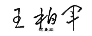 駱恆光王柏軍草書個性簽名怎么寫