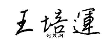 王正良王培運行書個性簽名怎么寫