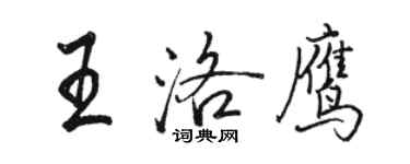 駱恆光王洛鷹行書個性簽名怎么寫