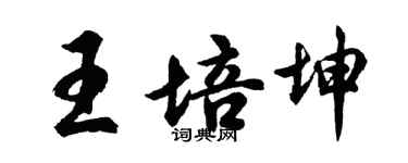 胡問遂王培坤行書個性簽名怎么寫