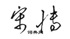 駱恆光宋博草書個性簽名怎么寫