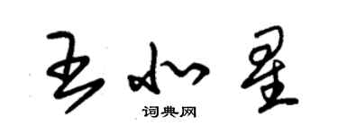 朱錫榮王北星草書個性簽名怎么寫