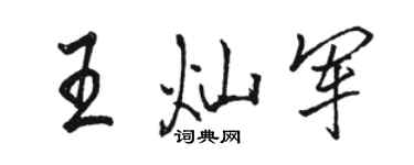 駱恆光王燦軍行書個性簽名怎么寫