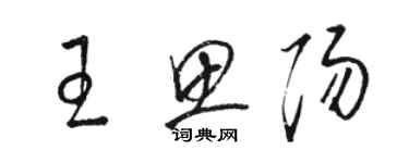 駱恆光王思陽草書個性簽名怎么寫