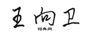 駱恆光王向衛行書個性簽名怎么寫