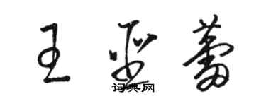 駱恆光王聖蕾草書個性簽名怎么寫