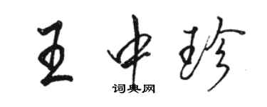 駱恆光王中珍行書個性簽名怎么寫