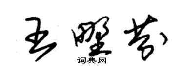 朱錫榮王野芬草書個性簽名怎么寫