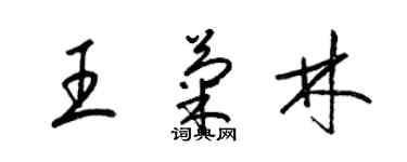 梁錦英王菊林草書個性簽名怎么寫