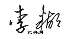 駱恆光李糊草書個性簽名怎么寫