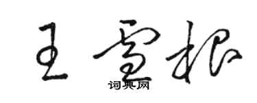 駱恆光王雪根草書個性簽名怎么寫