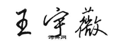 駱恆光王宇薇行書個性簽名怎么寫