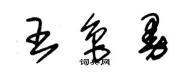 朱錫榮王魯曼草書個性簽名怎么寫