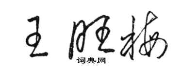 駱恆光王旺梅草書個性簽名怎么寫