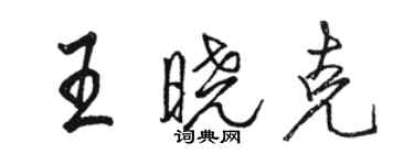 駱恆光王曉克行書個性簽名怎么寫