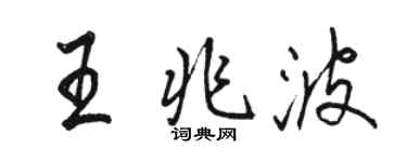 駱恆光王兆波行書個性簽名怎么寫