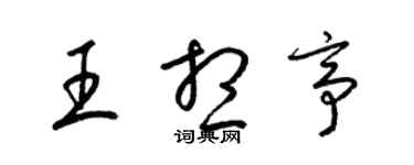 梁錦英王想亭草書個性簽名怎么寫