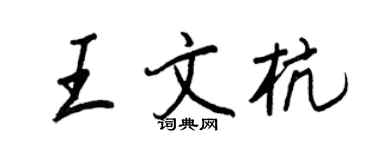 王正良王文杭行書個性簽名怎么寫