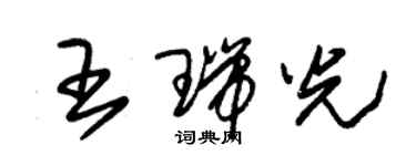 朱錫榮王瑞光草書個性簽名怎么寫