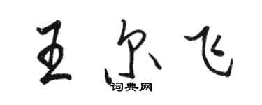 駱恆光王爾飛行書個性簽名怎么寫