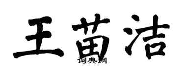 翁闓運王苗潔楷書個性簽名怎么寫