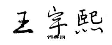 曾慶福王宇熙行書個性簽名怎么寫