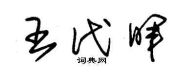 朱錫榮王代暉草書個性簽名怎么寫