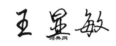 駱恆光王顯敏行書個性簽名怎么寫