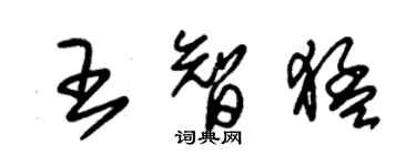 朱錫榮王智猛草書個性簽名怎么寫