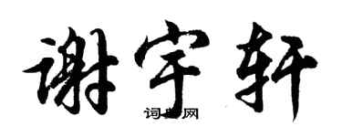 胡問遂謝宇軒行書個性簽名怎么寫