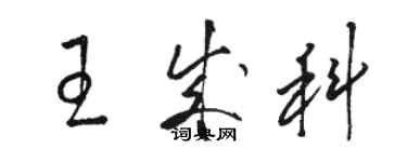 駱恆光王成科草書個性簽名怎么寫