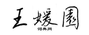 王正良王媛園行書個性簽名怎么寫