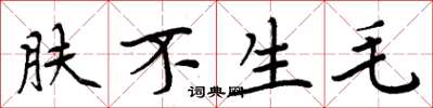 周炳元膚不生毛楷書怎么寫