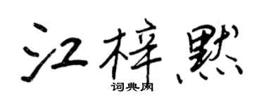 王正良江梓默行書個性簽名怎么寫