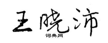 曾慶福王曉沛行書個性簽名怎么寫