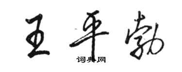 駱恆光王平勃行書個性簽名怎么寫