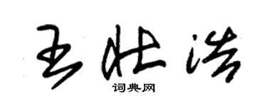 朱錫榮王壯浩草書個性簽名怎么寫