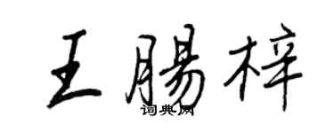 王正良王腸梓行書個性簽名怎么寫