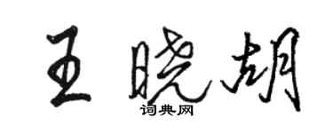 駱恆光王曉胡行書個性簽名怎么寫