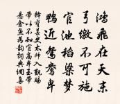 隨侯之珠，國寶也，然用之彈，曾不如泥丸 詩詞名句