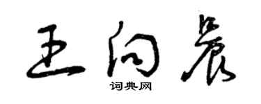 曾慶福王向晨草書個性簽名怎么寫