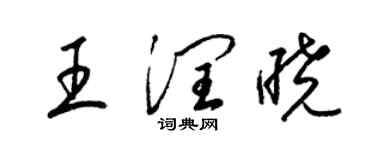 梁錦英王潤曉草書個性簽名怎么寫