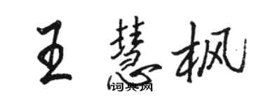 駱恆光王慧楓行書個性簽名怎么寫