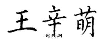 丁謙王辛萌楷書個性簽名怎么寫