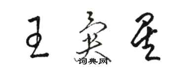 駱恆光王異星草書個性簽名怎么寫