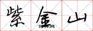 段相林紫金山行書怎么寫
