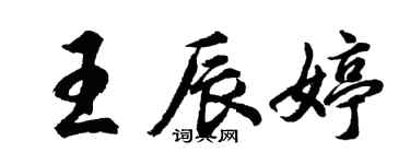 胡問遂王辰婷行書個性簽名怎么寫